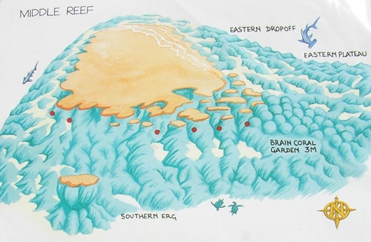 Middle Reef